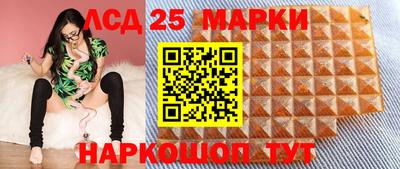тгк Дмитров