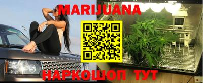 тгк Дмитров