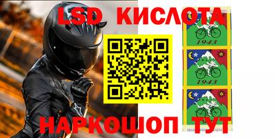 тгк Дмитров