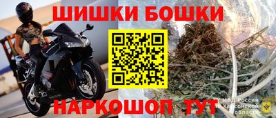 тгк Дмитров