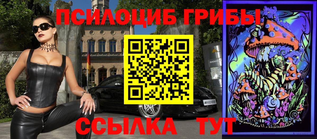 Моршанск  купить закладку  Вход с VPN  Галлюциногенные грибы Psilocybine cubensis 